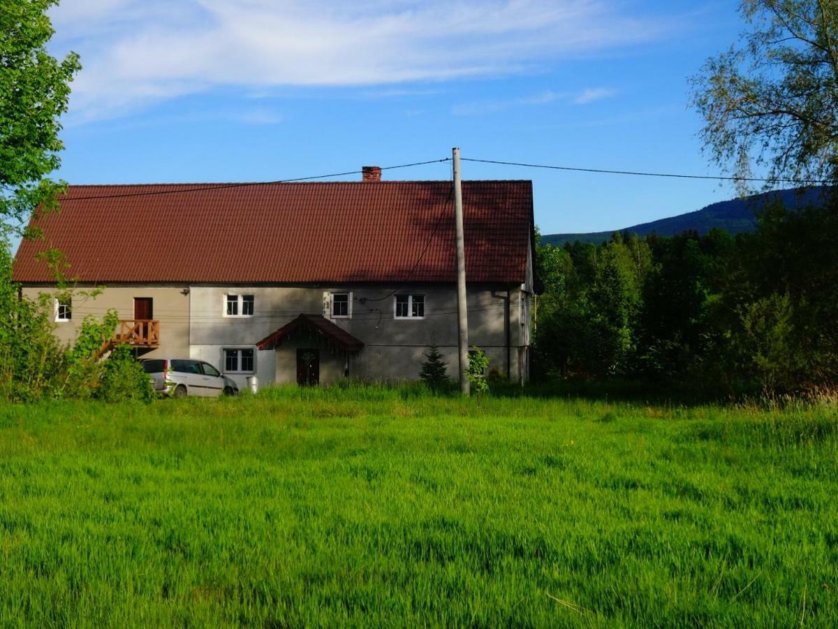 Pokoje Goscinne Przy Lesie Pobiedna Εξωτερικό φωτογραφία